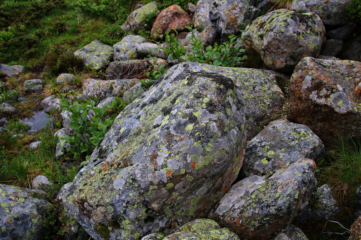 2015_06_17_003576p_Bildgr��e �ndern