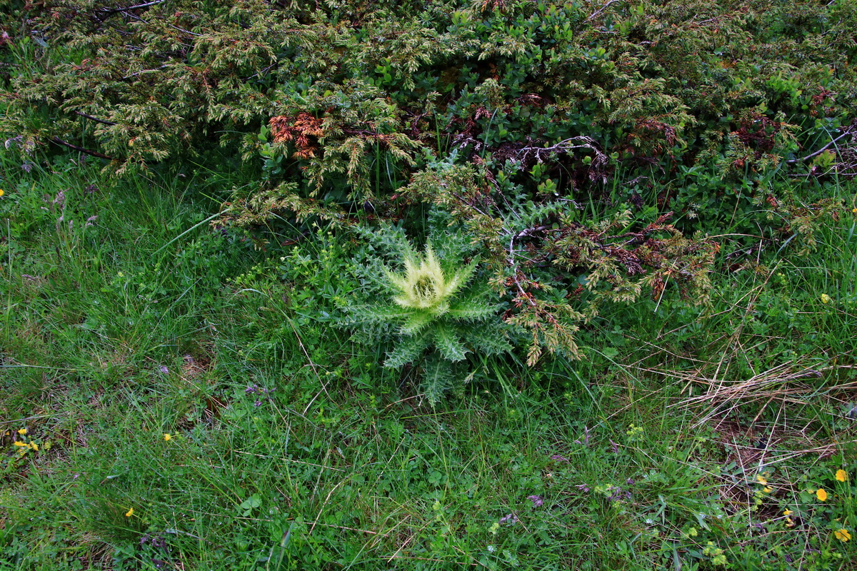 2015_06_17_003579p_Bildgr��e �ndern