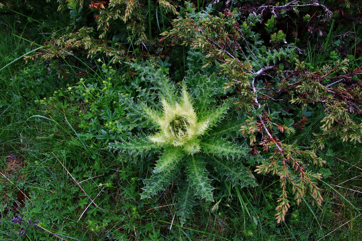 2015_06_17_003580p_Bildgr��e �ndern