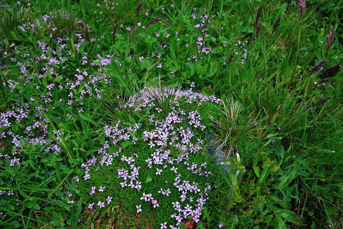 2015_06_17_003583p_Bildgr��e �ndern