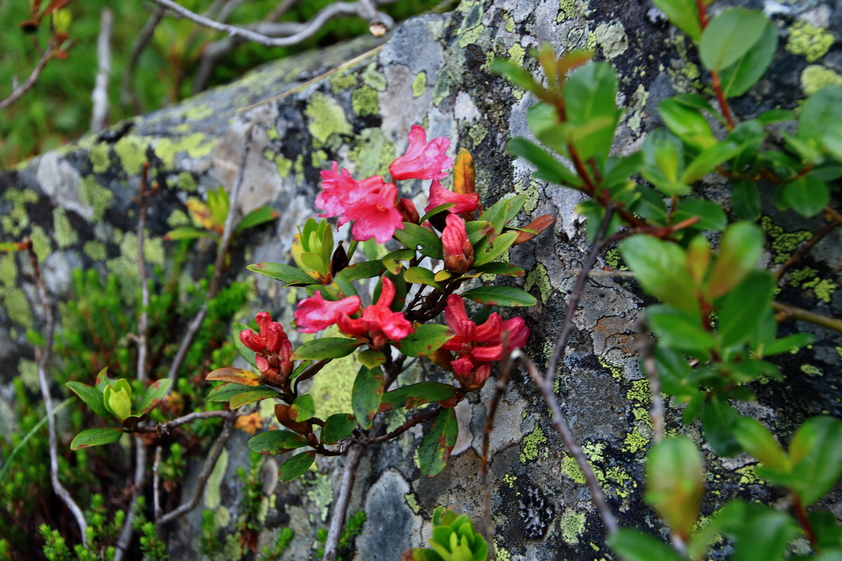 2015_06_17_003586p_Bildgr��e �ndern