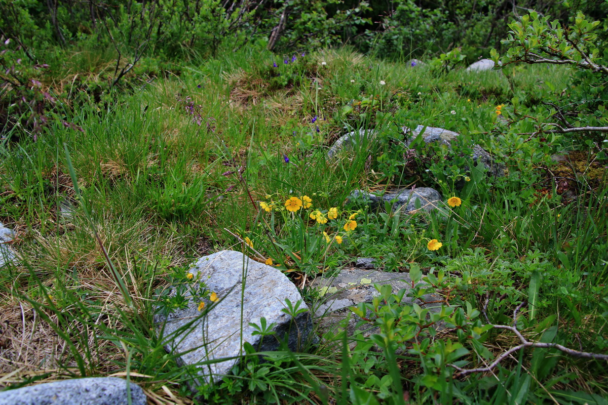 2015_06_17_003589p_Bildgr��e �ndern