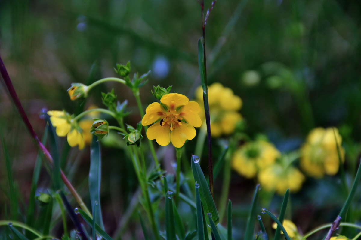 2015_06_17_003591p_Bildgr��e �ndern