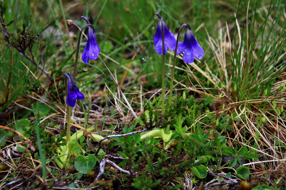 2015_06_17_003594p_Bildgr��e �ndern