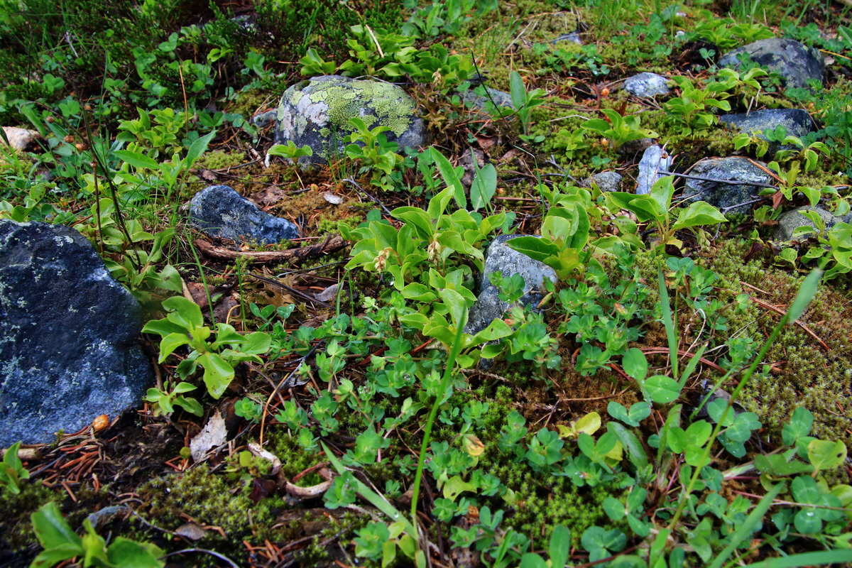 2015_06_17_003597p_Bildgr��e �ndern