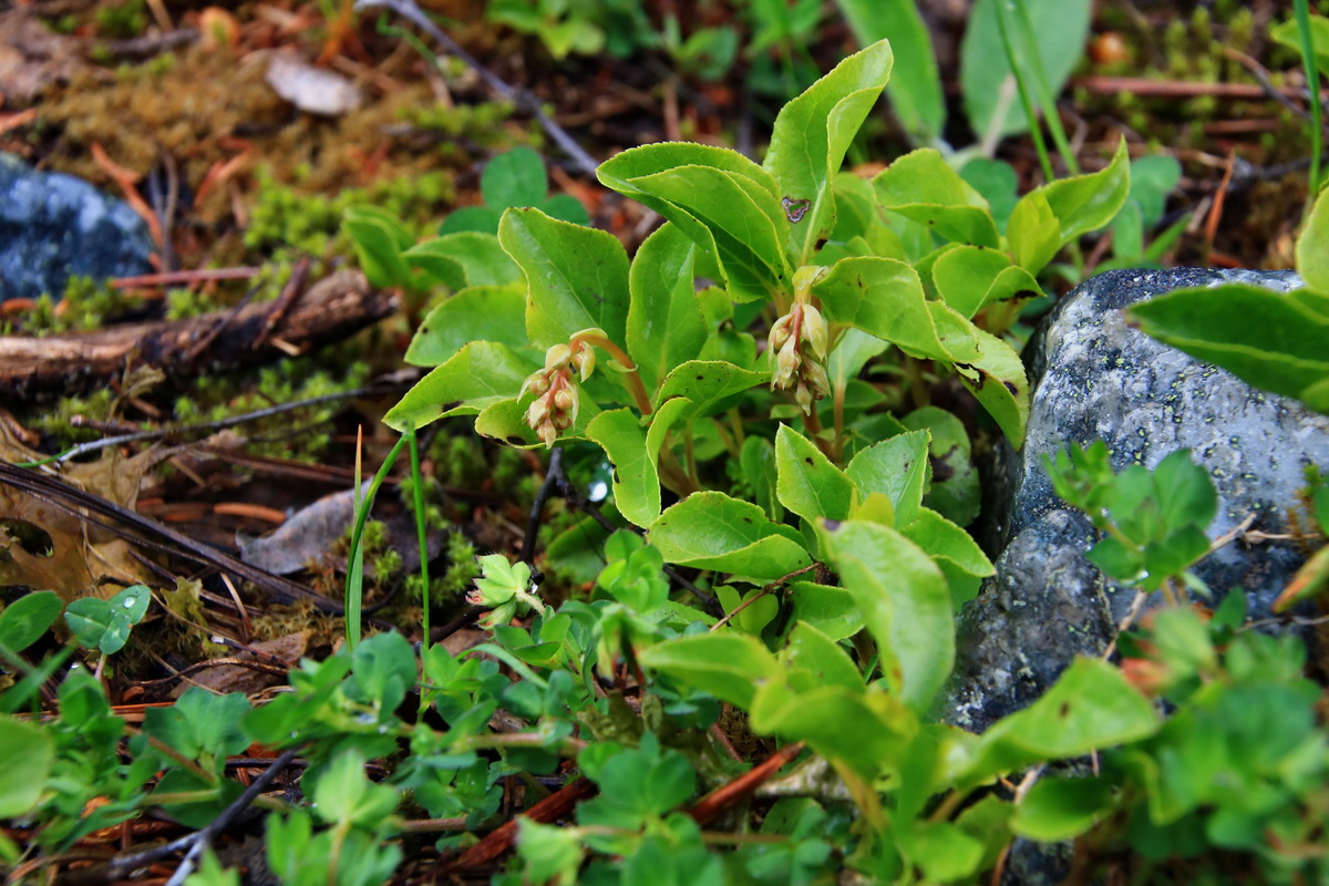 2015_06_17_003600p_Bildgr��e �ndern