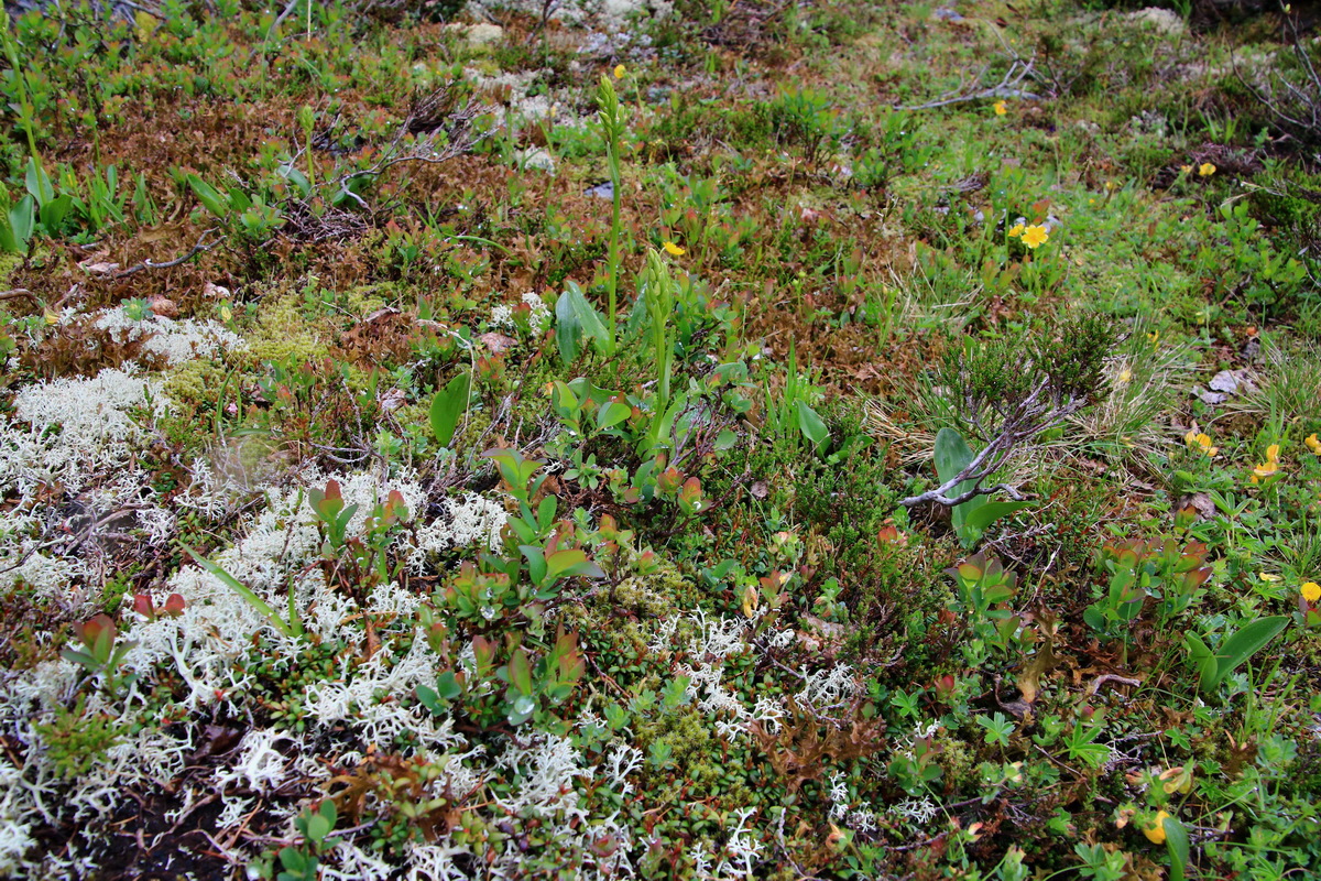 2015_06_17_003601p_Bildgr��e �ndern