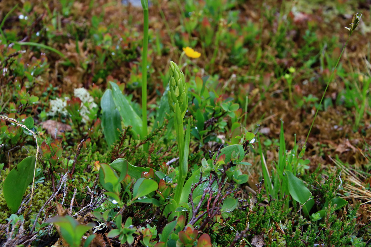 2015_06_17_003604p_Bildgr��e �ndern