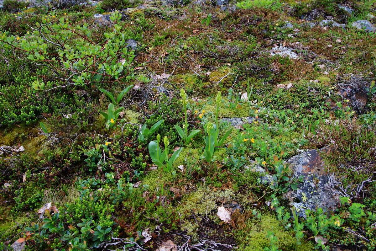 2015_06_17_003606p_Bildgr��e �ndern