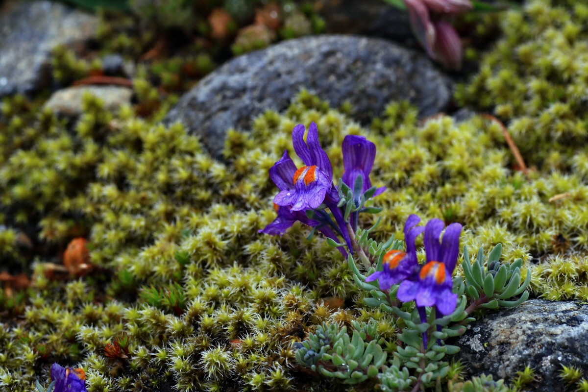 2015_06_17_003608p_Bildgr��e �ndern