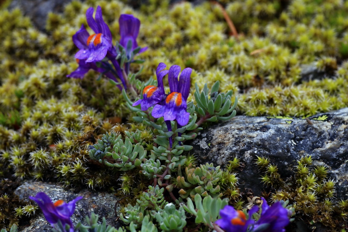 2015_06_17_003609p_Bildgr��e �ndern