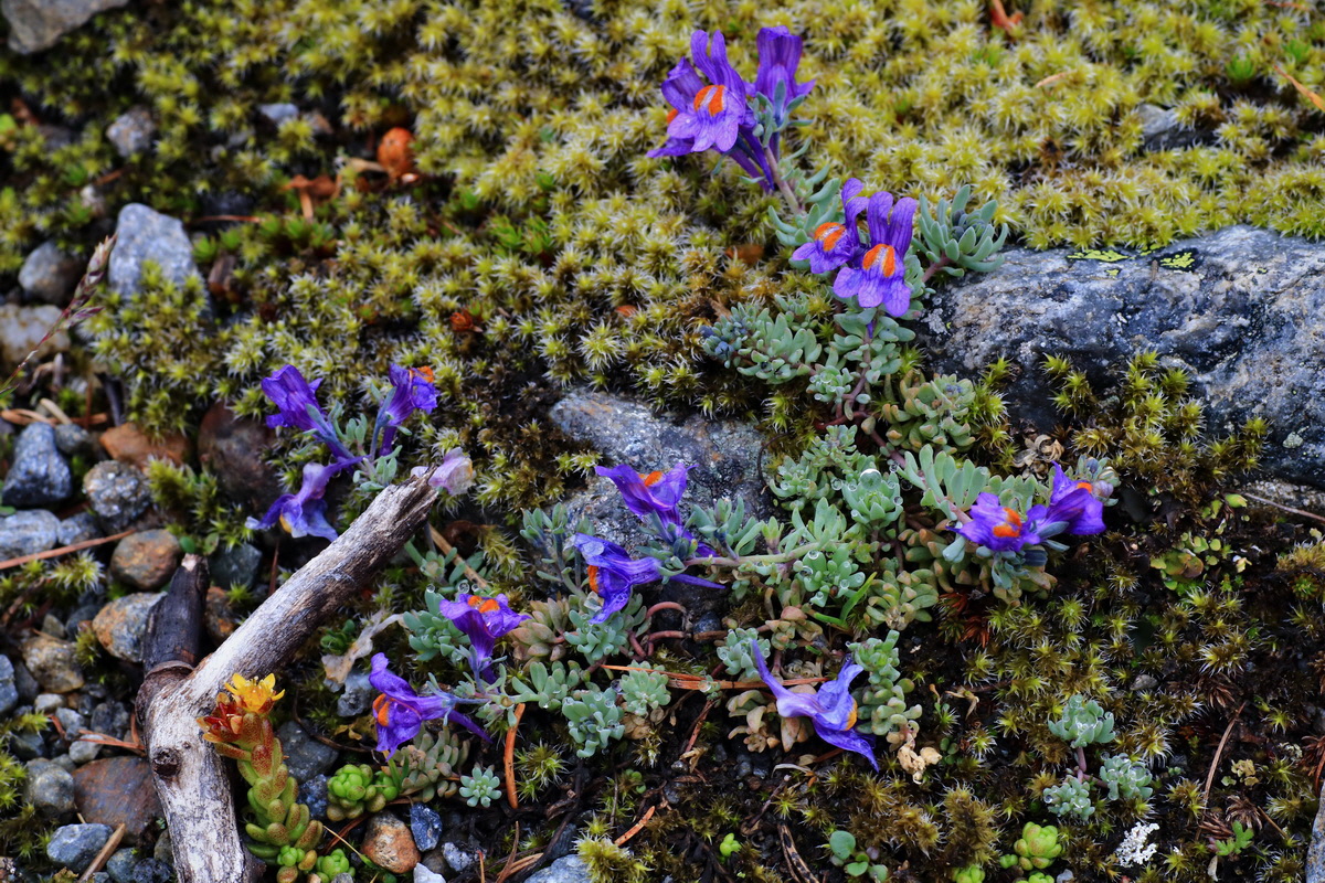 2015_06_17_003612p_Bildgr��e �ndern