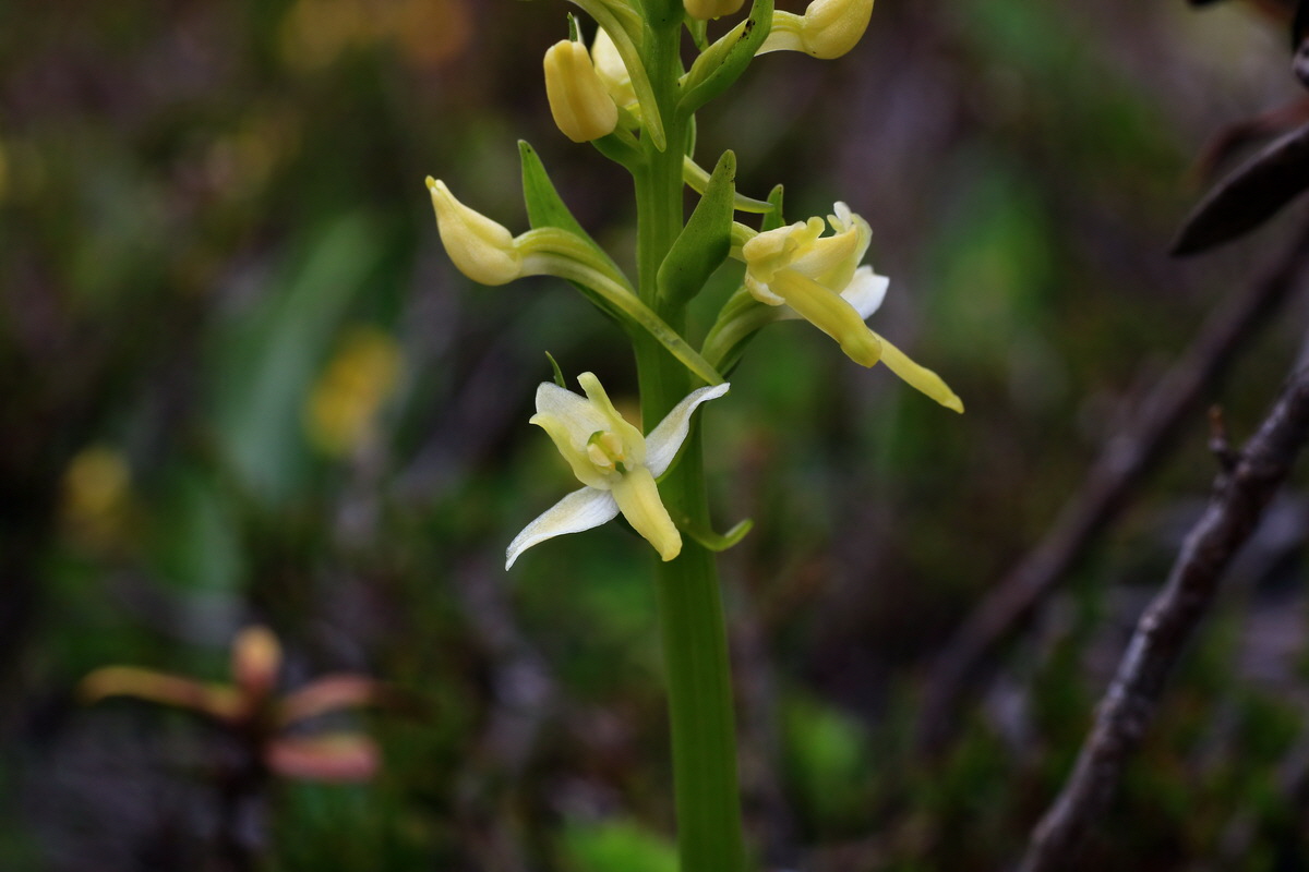 2015_06_17_003614p_Bildgr��e �ndern