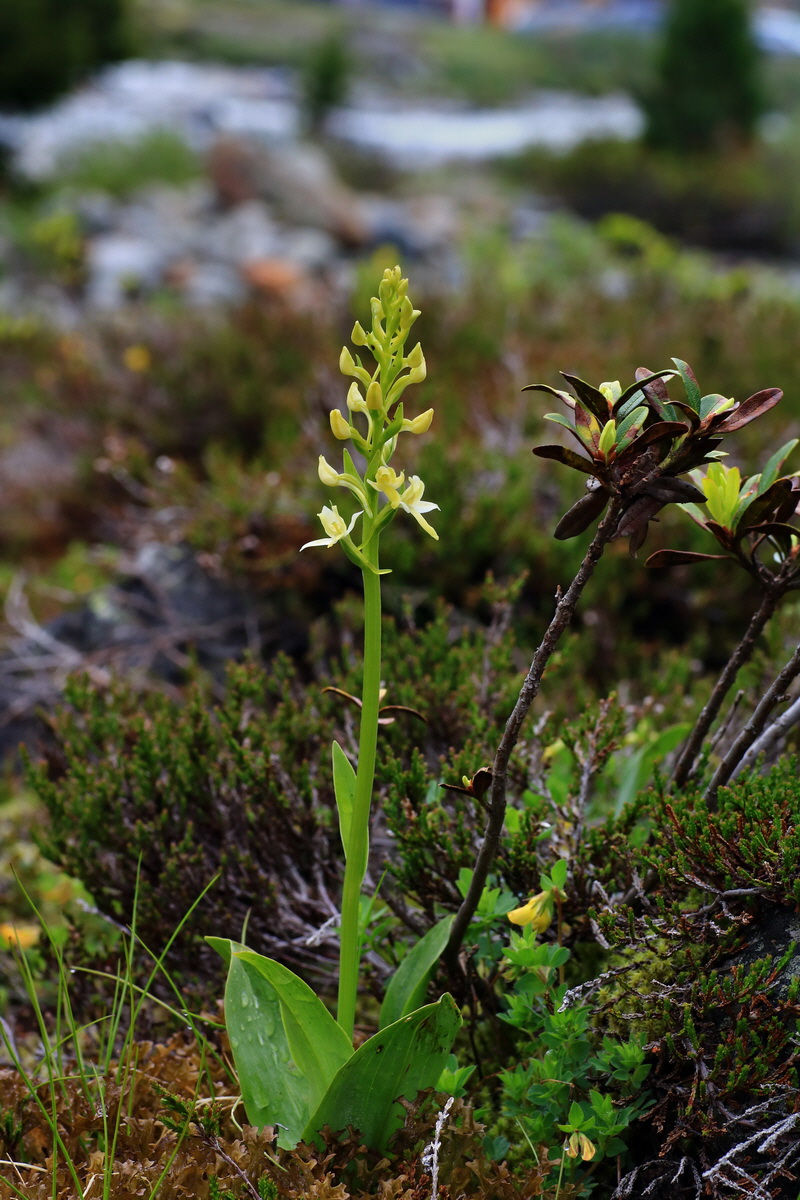 2015_06_17_003618p_Bildgr��e �ndern