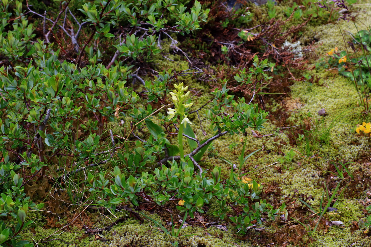 2015_06_17_003619p_Bildgr��e �ndern