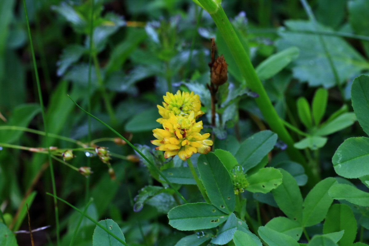 2015_06_17_003638p_Bildgr��e �ndern