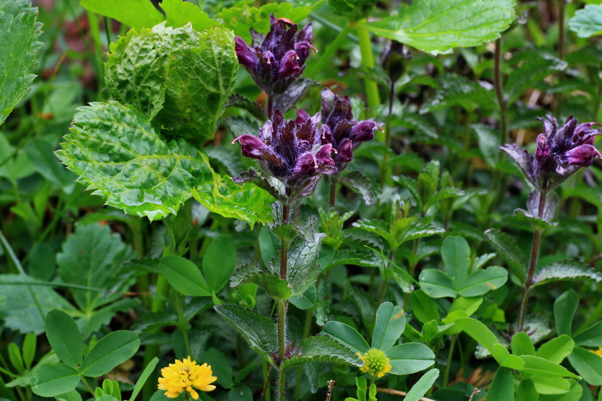 2015_06_17_003640p_Bildgr��e �ndern