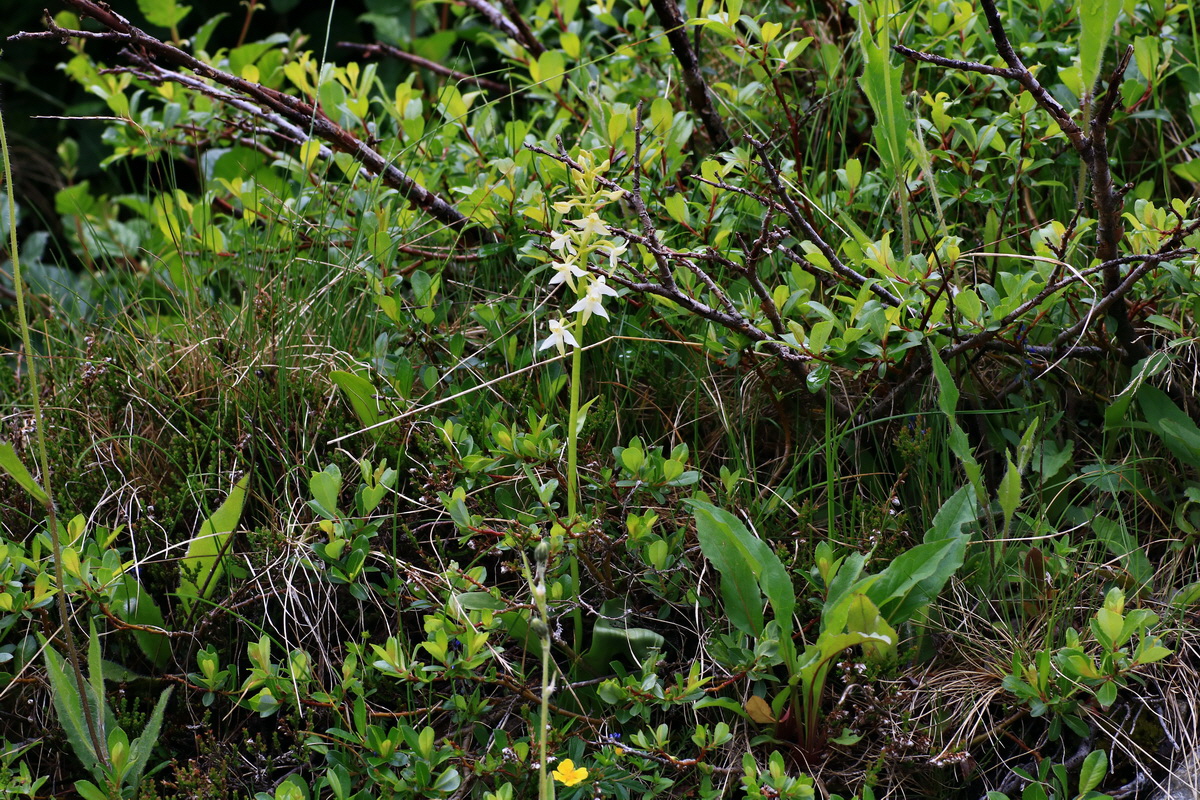 2015_06_17_003642p_Bildgr��e �ndern