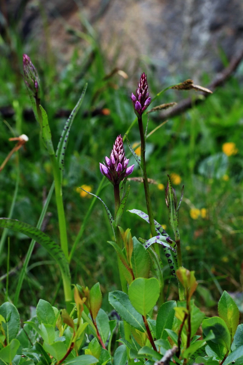 2015_06_17_003651p_Bildgr��e �ndern