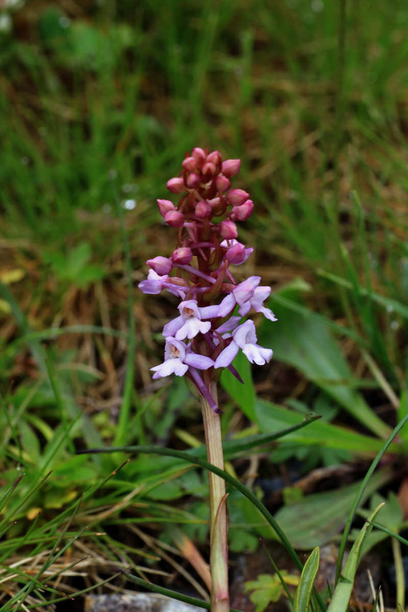 2015_06_17_003655p_Bildgr��e �ndern