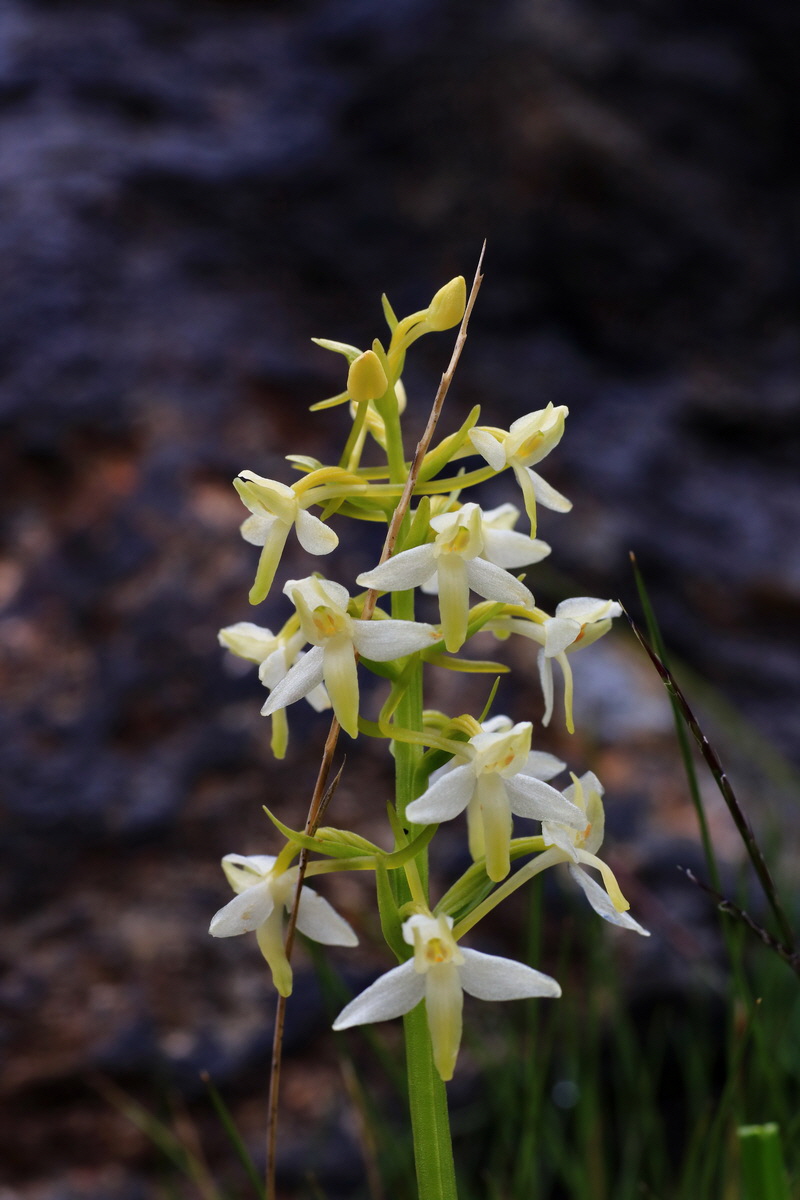 2015_06_17_003661p_Bildgr��e �ndern