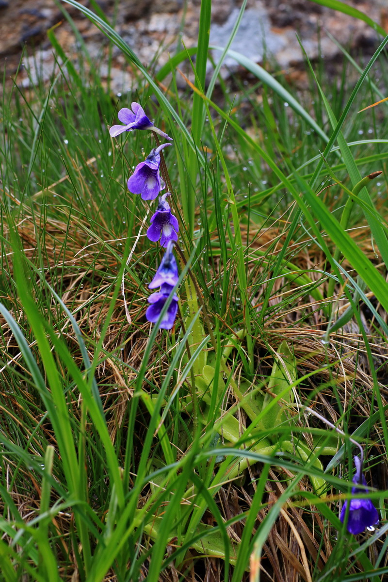 2015_06_17_003666p_Bildgr��e �ndern