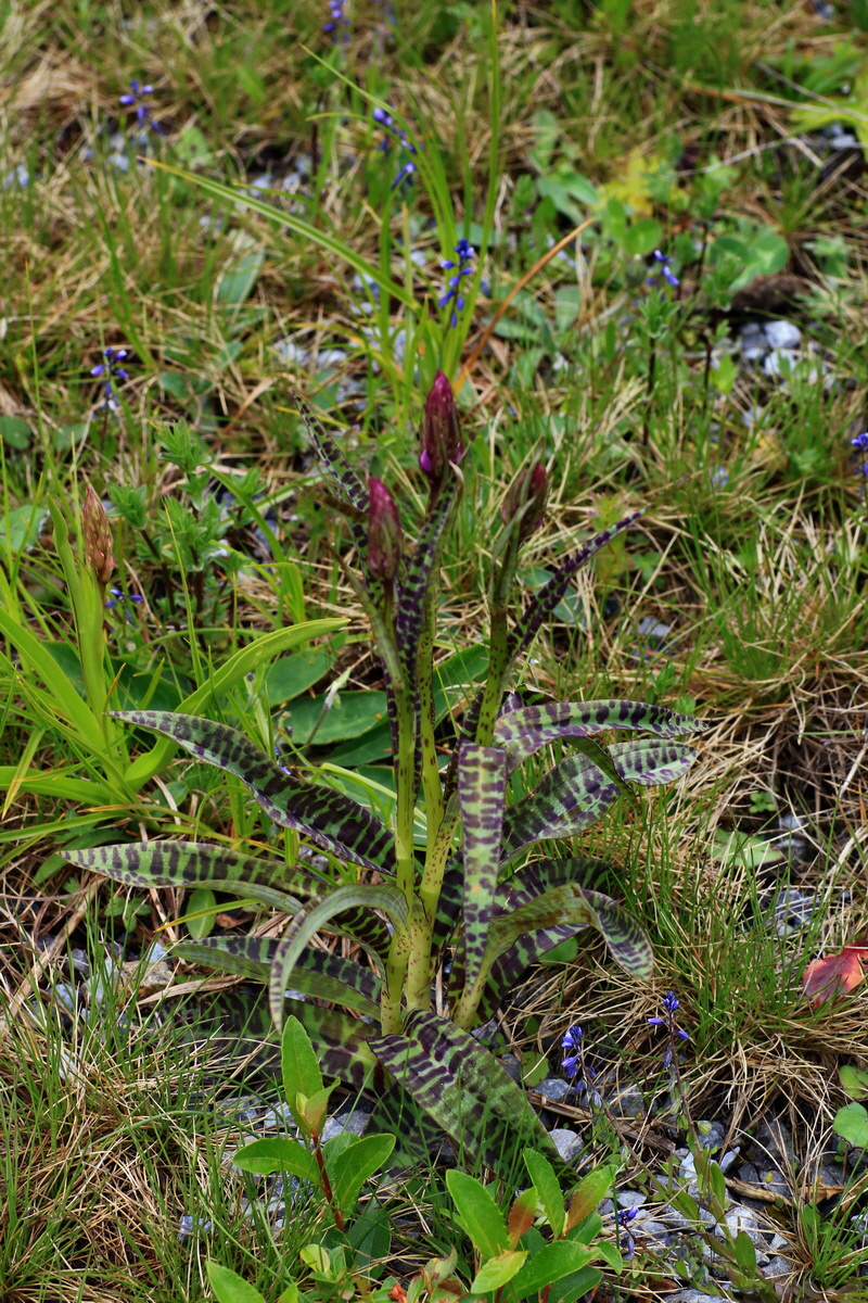 2015_06_17_003670p_Bildgr��e �ndern