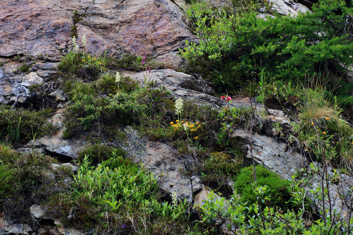 2015_06_17_003673p_Bildgr��e �ndern