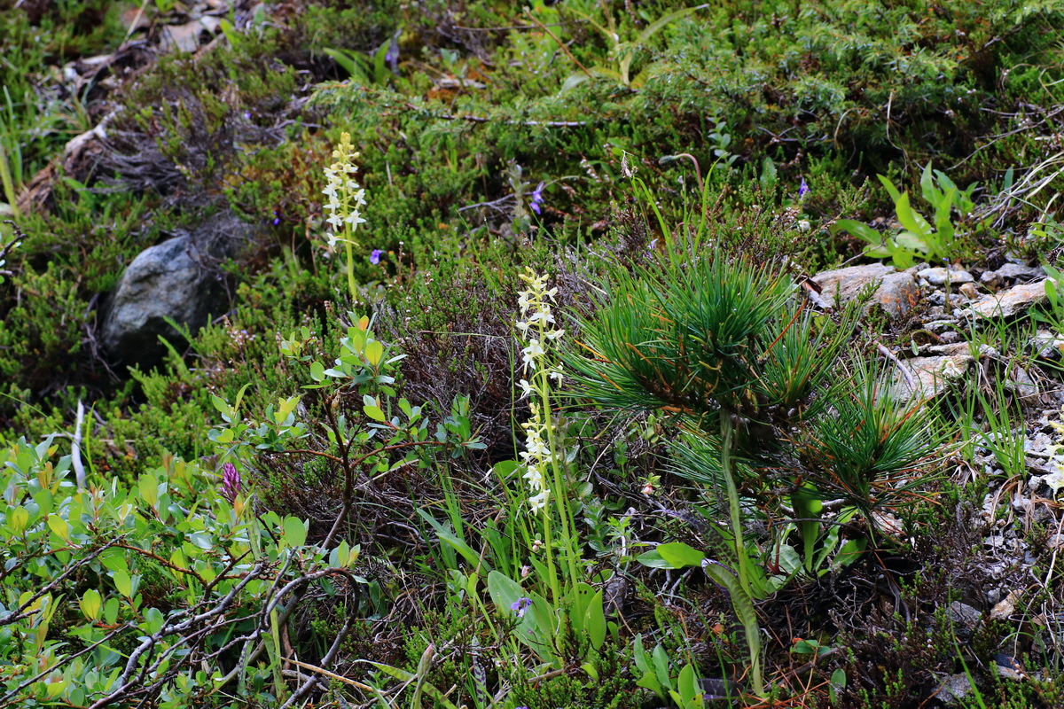 2015_06_17_003680p_Bildgr��e �ndern