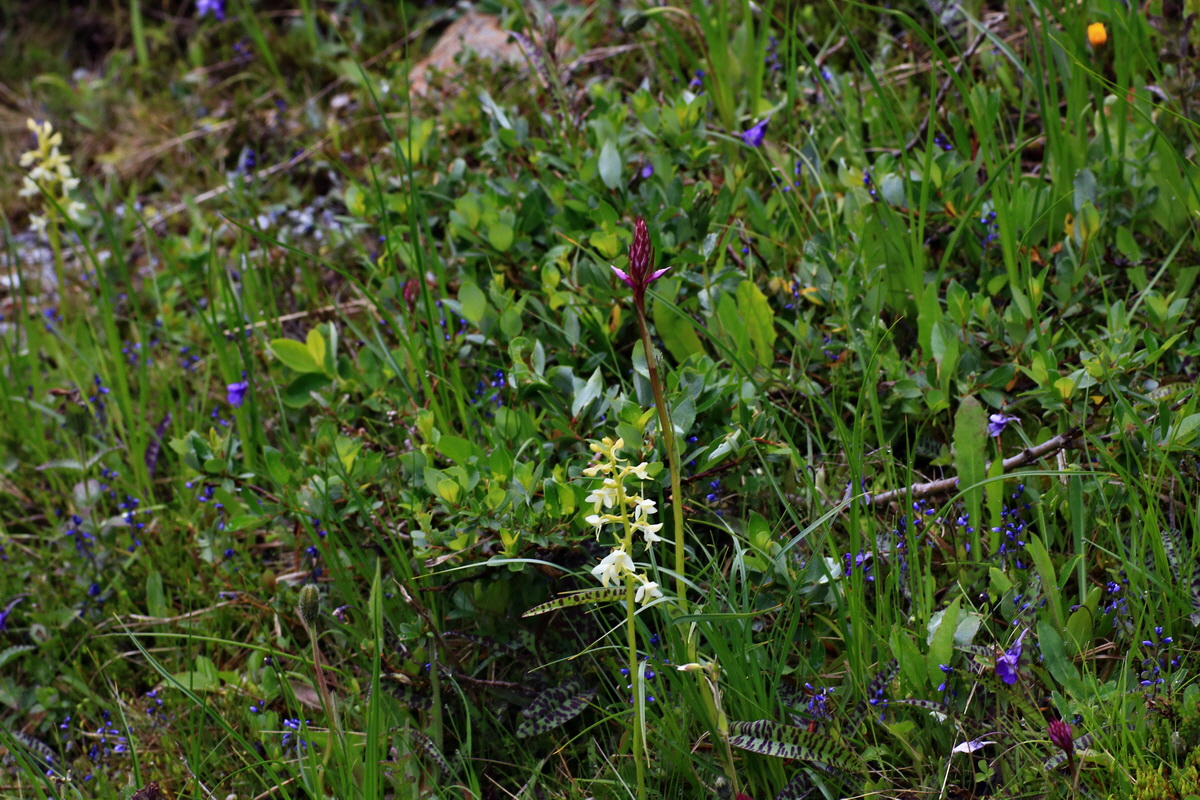 2015_06_17_003682p_Bildgr��e �ndern