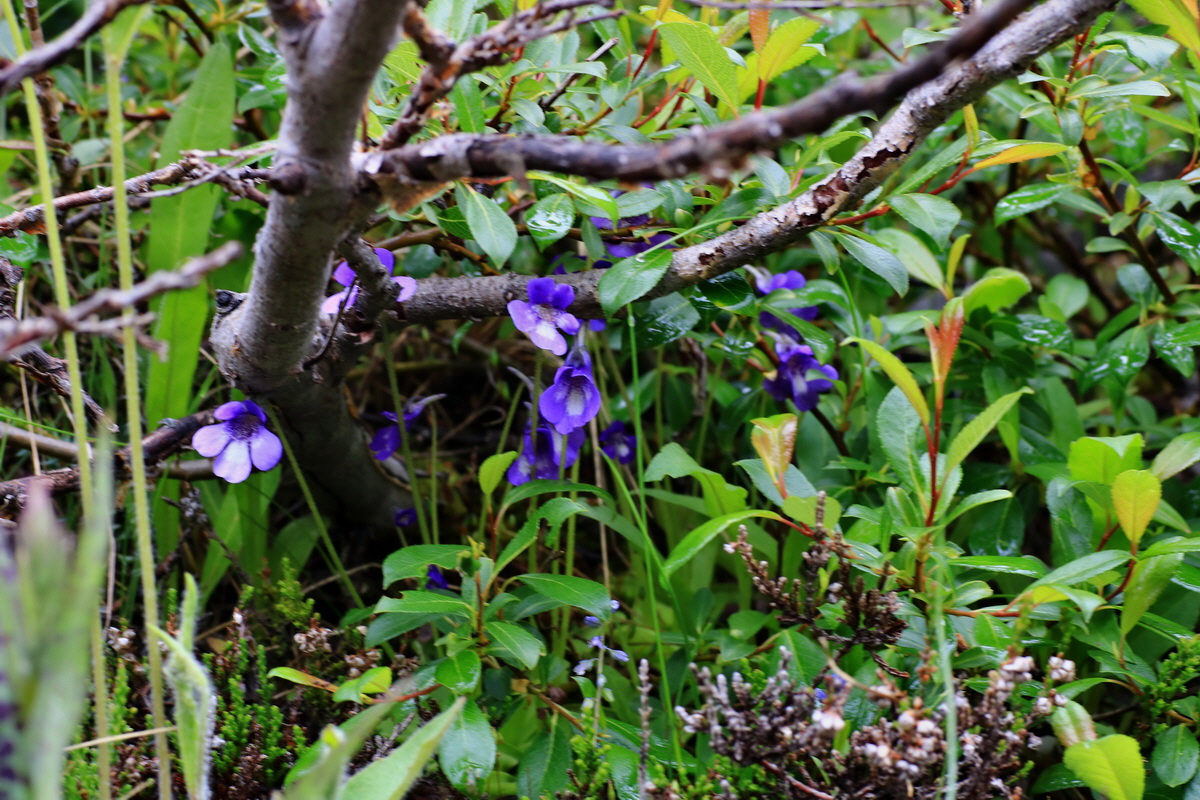 2015_06_17_003684p_Bildgr��e �ndern