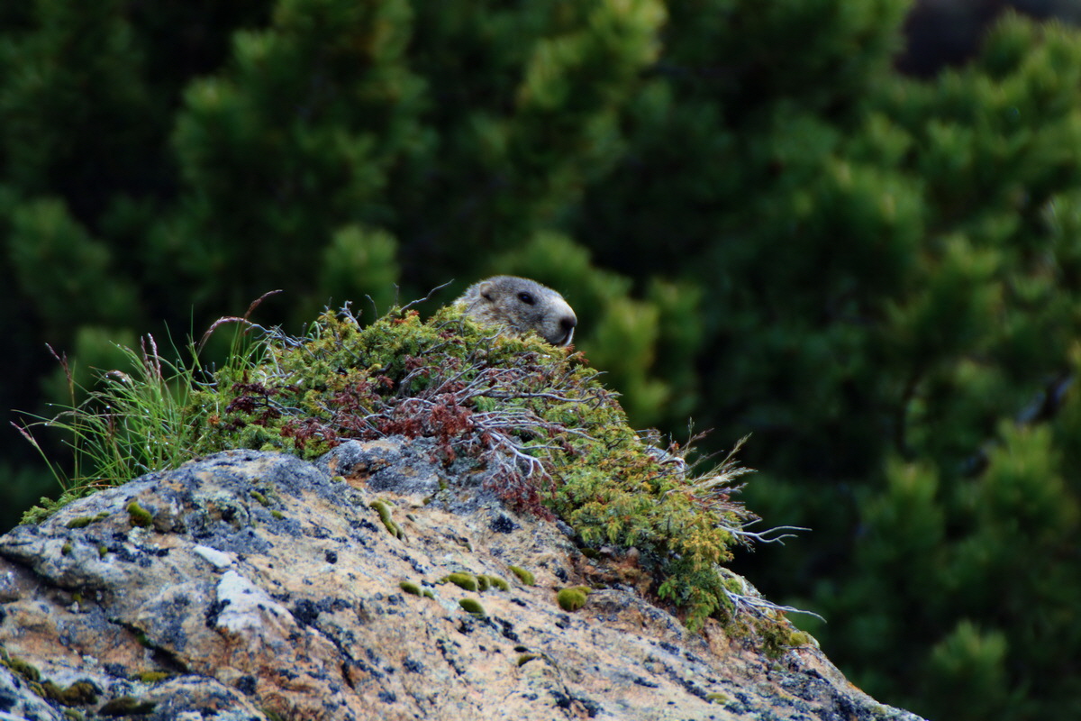 2015_06_17_003693p_Bildgr��e �ndern