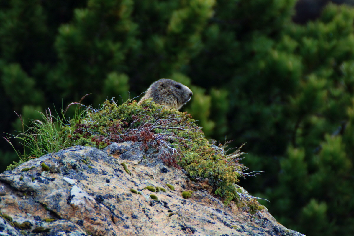 2015_06_17_003698p_Bildgr��e �ndern