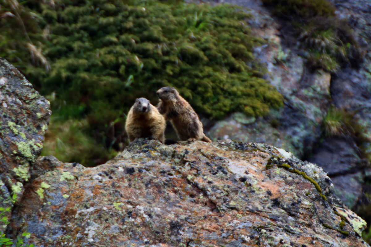 2015_06_17_003715p_Bildgr��e �ndern