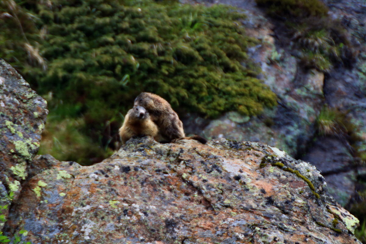 2015_06_17_003739p_Bildgr��e �ndern