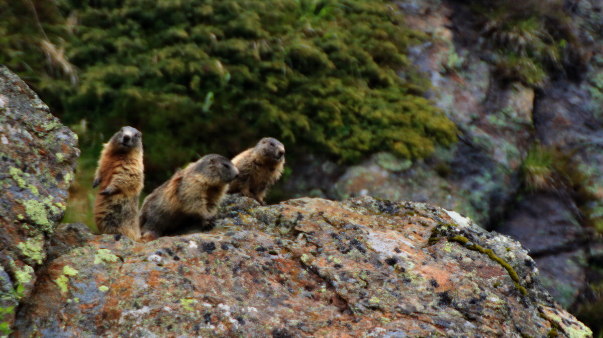 2015_06_17_003741p_Bildgr��e �ndern