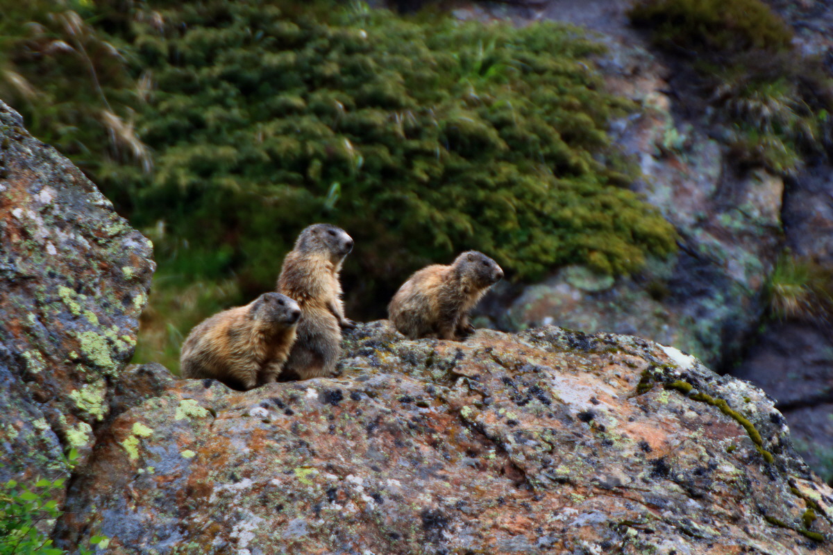 2015_06_17_003743p_Bildgr��e �ndern