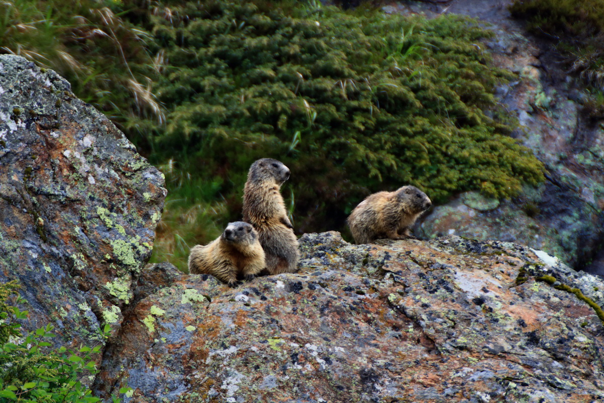 2015_06_17_003754p_Bildgr��e �ndern