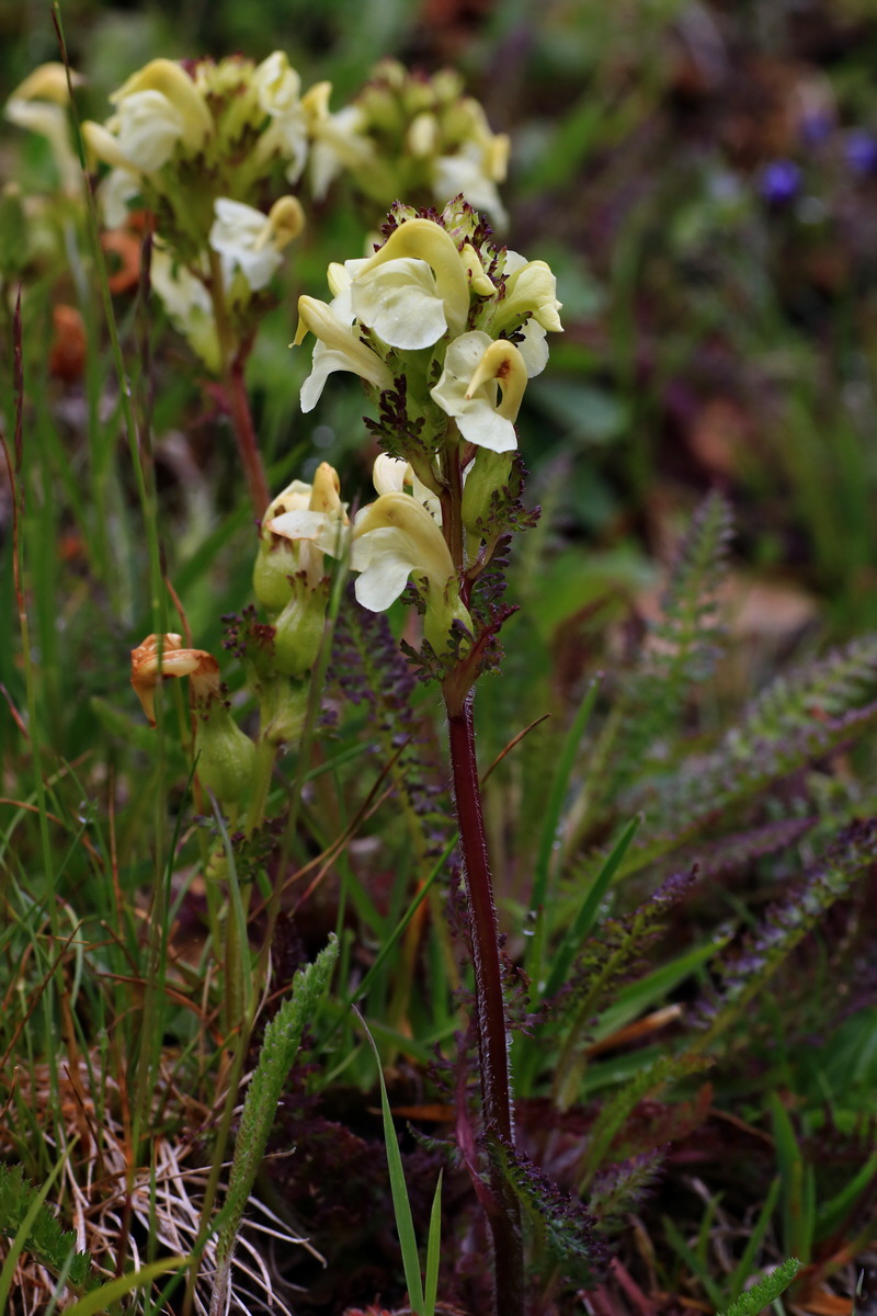 2015_06_17_003774p_Bildgr��e �ndern