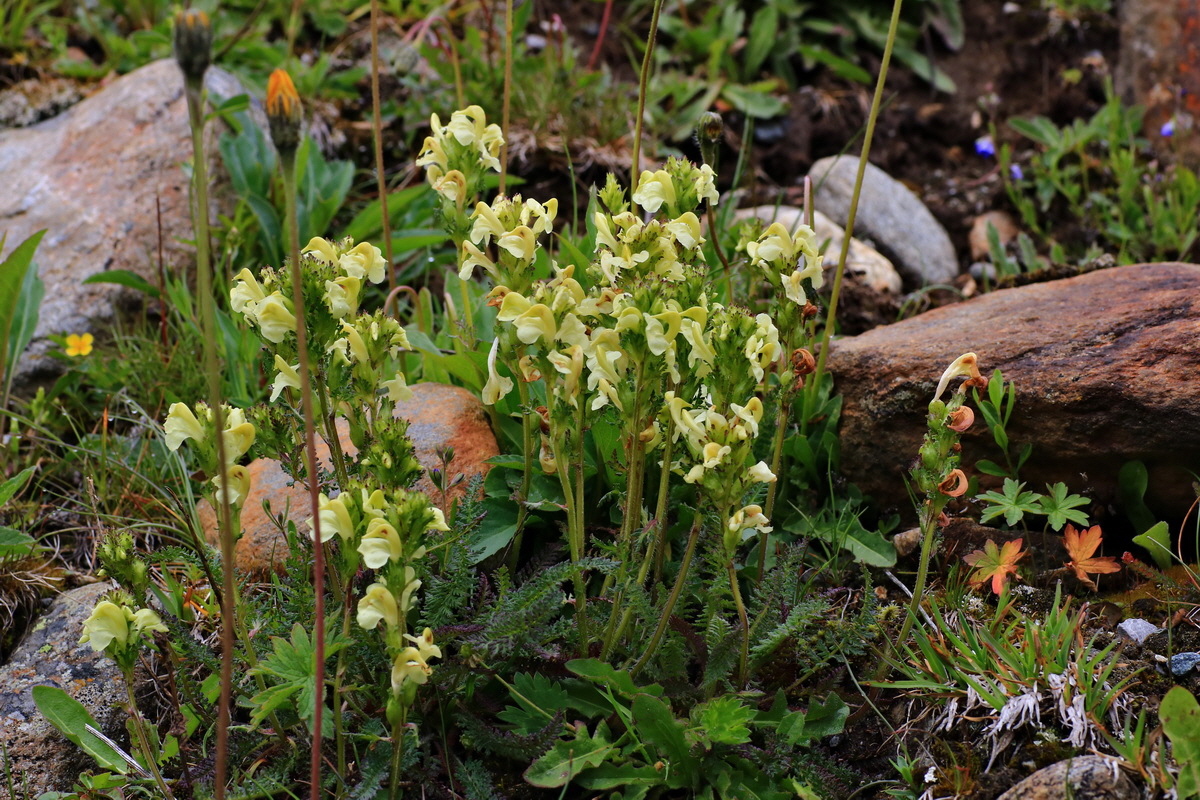 2015_06_17_003777p_Bildgr��e �ndern