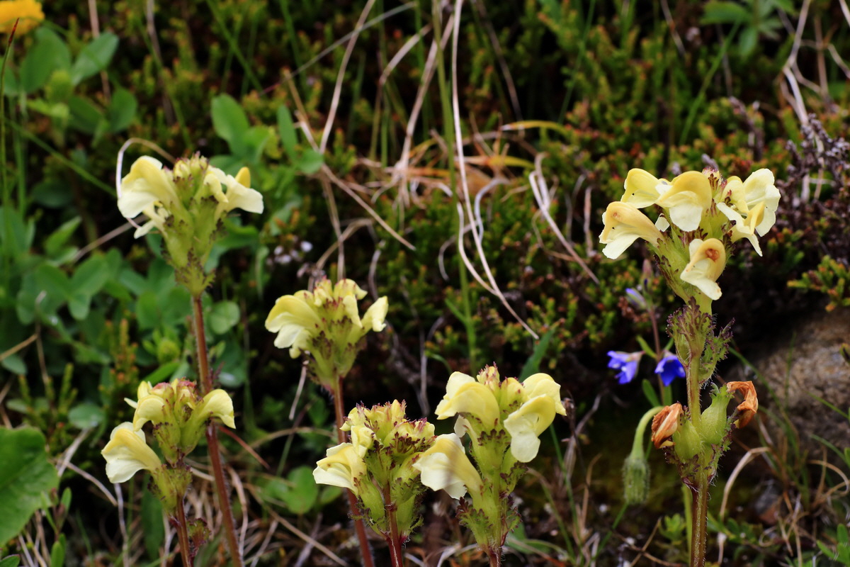 2015_06_17_003780p_Bildgr��e �ndern