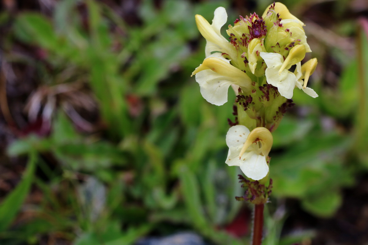 2015_06_17_003787p_Bildgr��e �ndern