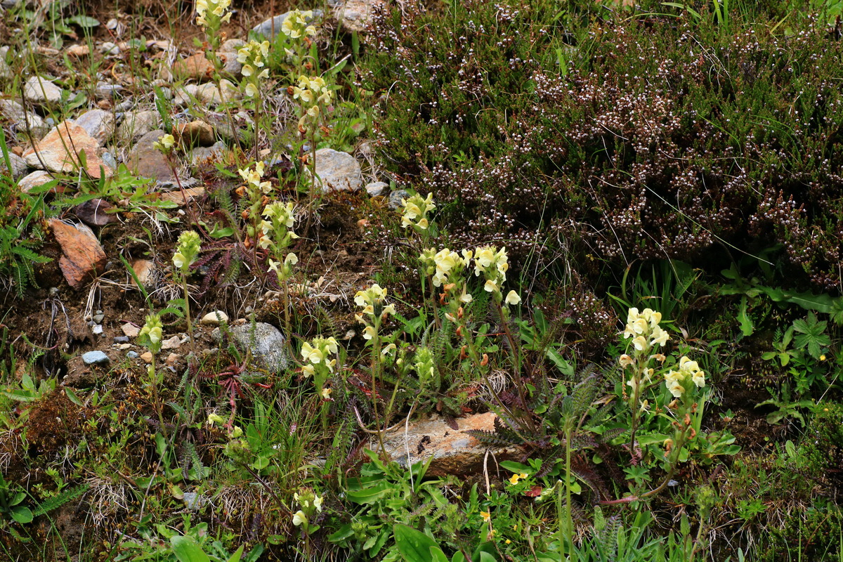 2015_06_17_003793p_Bildgr��e �ndern