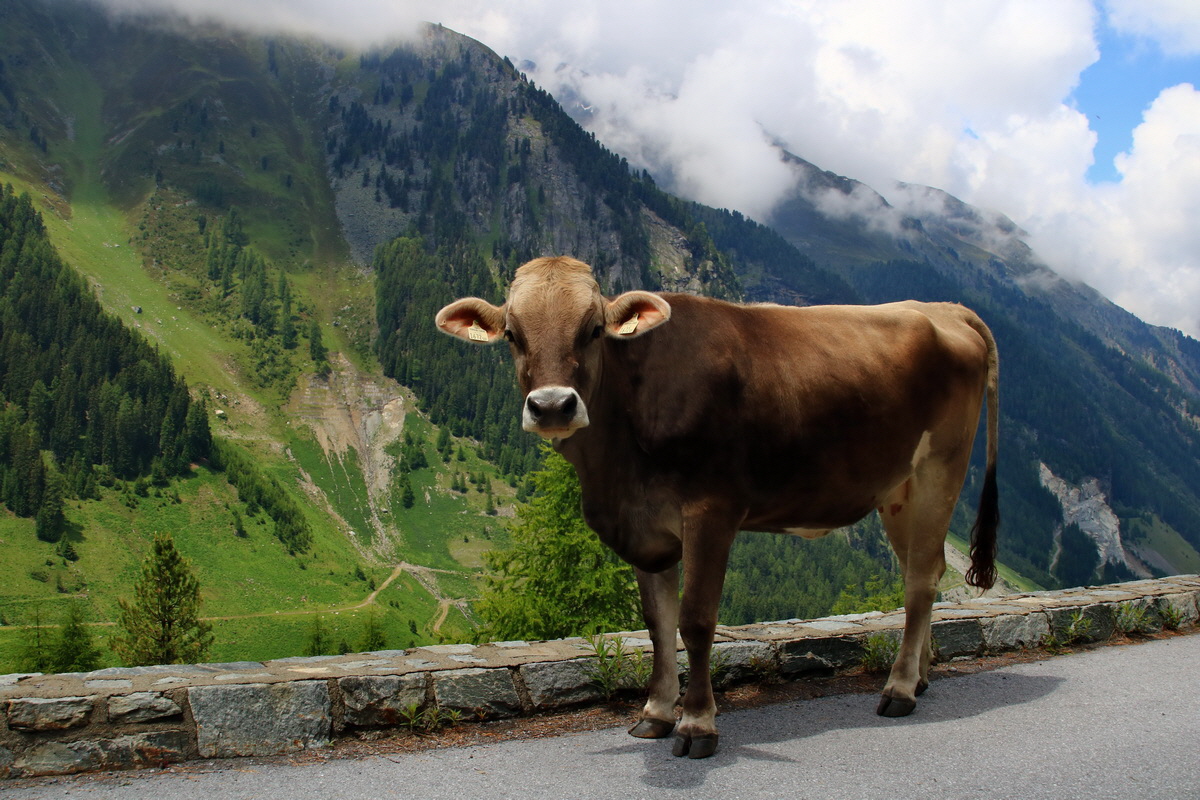 2015_06_17_003795p_Bildgr��e �ndern