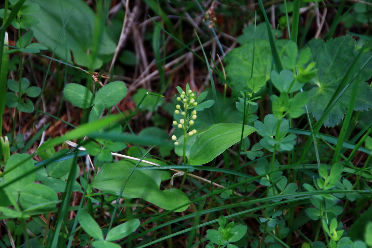 2015_06_18_003844p_Bildgr��e �ndern