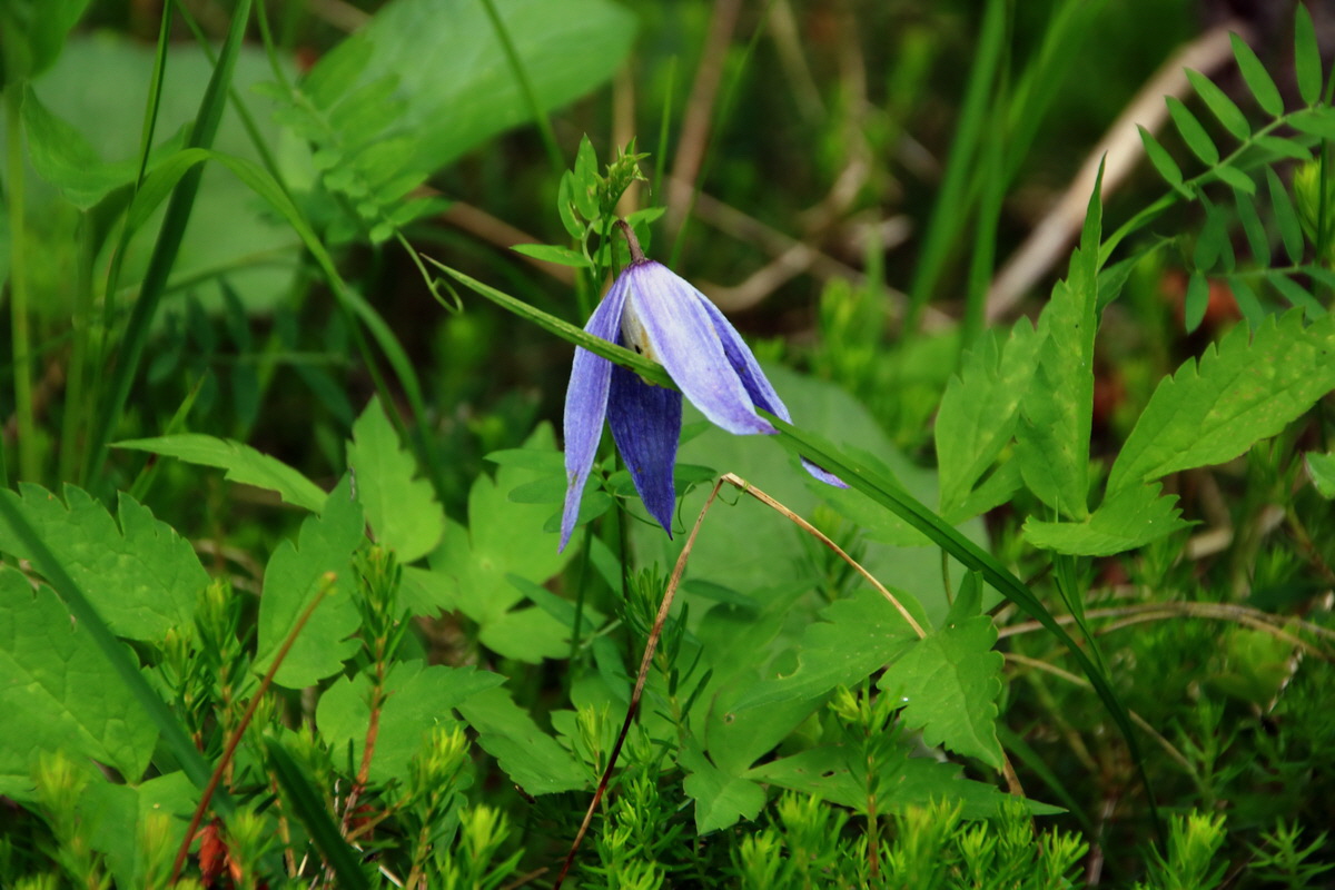 2015_06_18_003860p_Bildgr��e �ndern