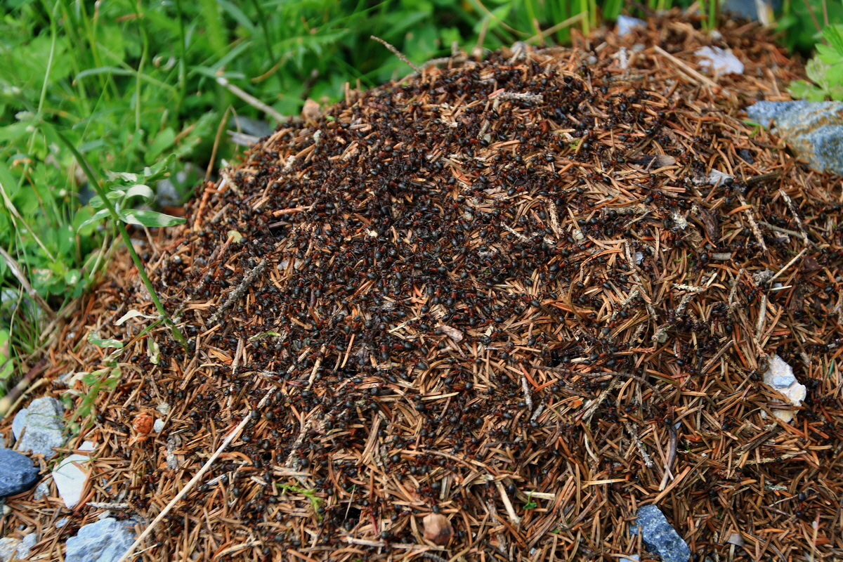 2015_06_18_003944p_Bildgr��e �ndern