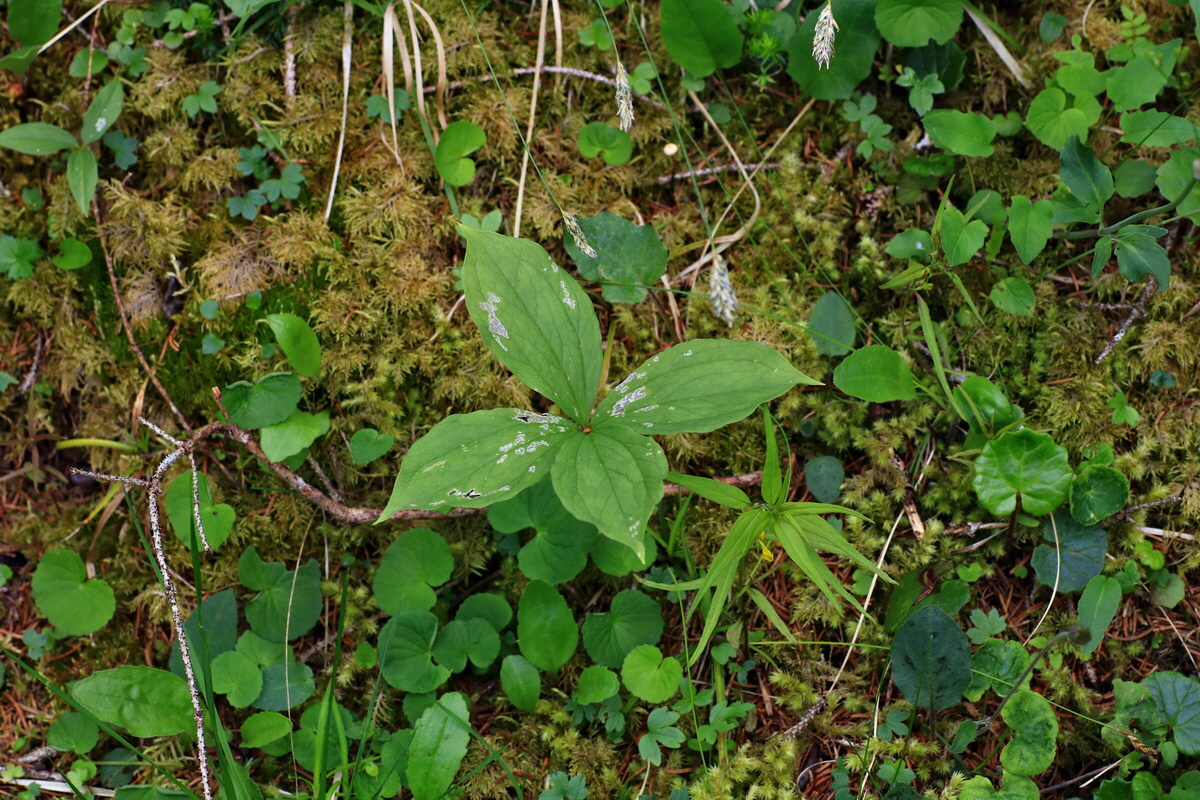 2015_06_18_003947p_Bildgr��e �ndern