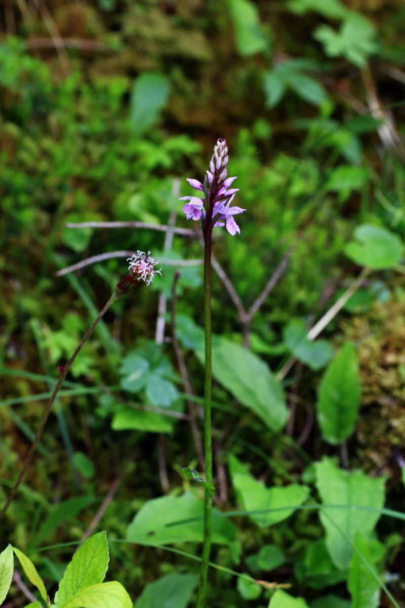 2015_06_18_003959p_Bildgr��e �ndern