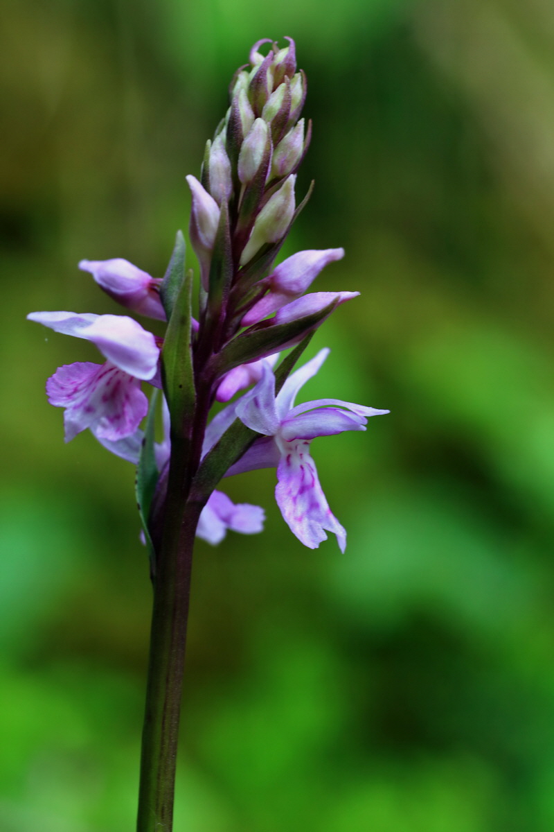 2015_06_18_003963p_Bildgr��e �ndern